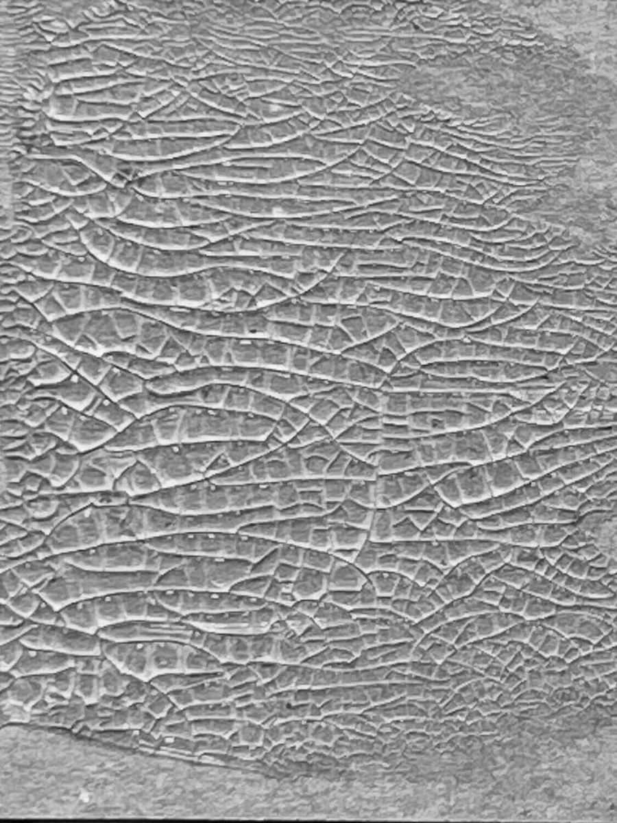 Tim Holtz Distress® Crackle Paste - Translucent
