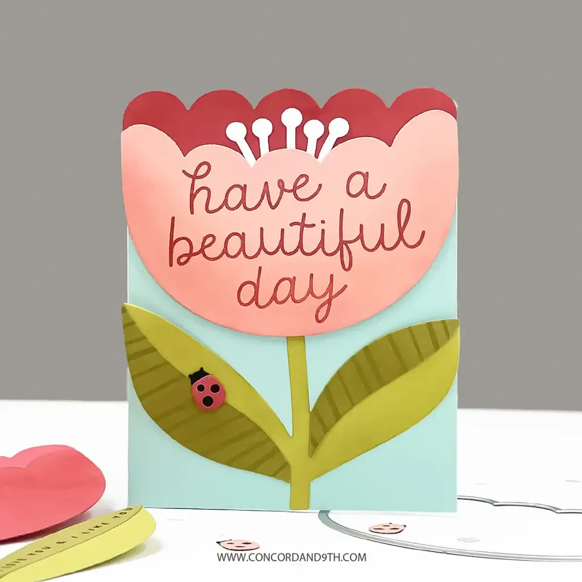 Concord & 9th Scalloped Petals Bundle