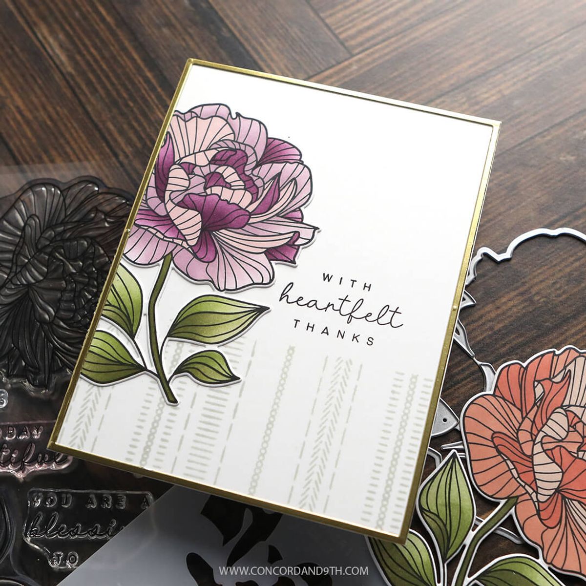 Kristina Werner Long Line Roses Bundle