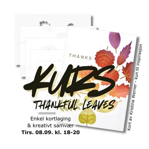 Hovedbilde Kurs 260908 - Kortlagingskurs Thankful Leaves